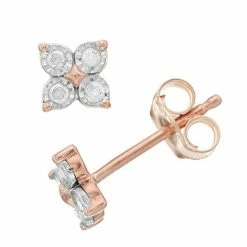 Deals π₯ Diamond Brilliance Sterling Silver 1/10 Carat T.W. Diamond Flower Stud Earrings βοΈ