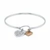 Cheapest π― Brilliance Two-Tone Crystal Hearts Charm Bangle Bracelet βοΈ 2 Cheapest π― Brilliance Two-Tone Crystal Hearts Charm Bangle Bracelet βοΈ -Valentine's Day Jewelry shop unnamed file 967